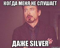 Когда меня не слушает даже Silver