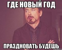 Где новый год праздновать будешь