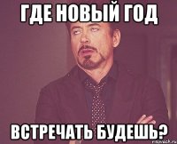 Где новый год встречать будешь?