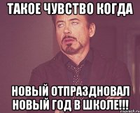 такое чувство когда новый отпраздновал новый год в школе!!!