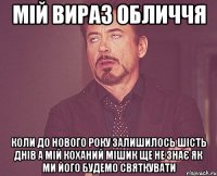 мій вираз обличчя коли до нового року залишилось шість днів а мій коханий мішик ще не знає як ми його будемо святкувати