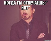 когда ты отвечаешь:" нит" 