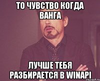 ТО ЧУВСТВО КОГДА ВАНГА ЛУЧШЕ ТЕБЯ РАЗБИРАЕТСЯ В WINAPI