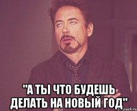  "А ты что будешь делать на Новый Год"