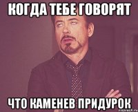 КОГДА ТЕБЕ ГОВОРЯТ ЧТО КАМЕНЕВ ПРИДУРОК