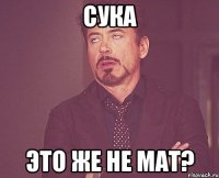 сука это же не мат?