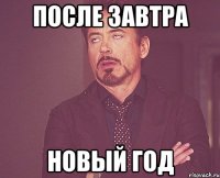 ПОСЛЕ ЗАВТРА НОВЫЙ ГОД