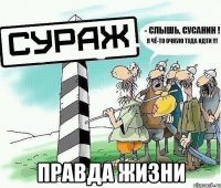  Правда жизни