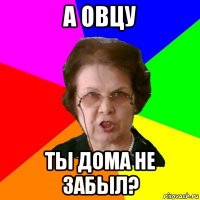 А ОВЦУ ТЫ ДОМА НЕ ЗАБЫЛ?