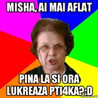 Misha, ai mai aflat pina la si ora lukreaza pti4ka?:D