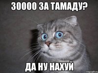 30000 за тамаду? ДА НУ НАХУЙ