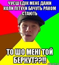 чуєш едік мене дажи коли пітухи бачуть раком стають то шо мені той беркут??!!