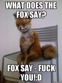 What does the fox say? Fox say - Fuck you!:D