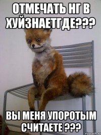 отмечать НГ в хуйзнаетгде??? вы меня упоротым считаете ???