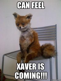 CAN FEEL XAVER IS COMING!!!