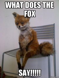 what does the fox SAY!!!!!