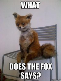 What does the fox says?
