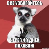 все узбагойтесь через 40 дней похаваю