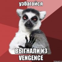  Выгнали из VENGENCE