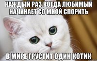 Каждый раз когда Любимый начинает со мной спорить В мире грустит один котик