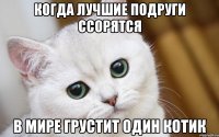 когда лучшие подруги ссорятся в мире грустит один котик