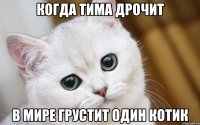 когда тима дрочит в мире грустит один котик