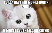 когда Настя не может пойти гулять в мире грустит один котик