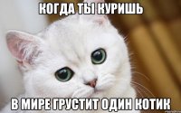 Когда ты куришь В мире грустит один котик