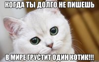 Когда ты долго не пишешь В мире грустит один Котик!!!