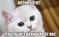 котик хочет, чтоб ты не сваливала от нас