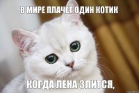 когда лена злится, в мире плачет один котик