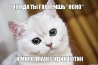 В мире плачет один котик когда ты говоришь "Ясно"