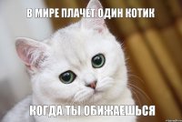 Когда ты обижаешься в мире плачет один котик