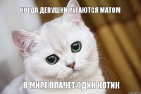 В МИРЕ ПЛАЧЕТ ОДИН КОТИК КОГДА ДЕВУШКИ РУГАЮТСЯ МАТОМ