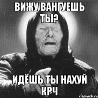 Вижу вангуешь ты? Идёшь ты нахуй крч