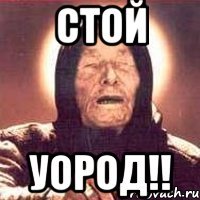 стой уород!!