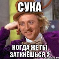 Сука когда же ты заткнёшься ?