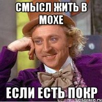 смысл жить в мохе если есть Покр