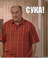 Сука!