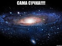 Сама сучка!!!! 