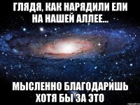 Глядя, как нарядили ели на нашей аллее... Мысленно благодаришь хотя бы за ЭТО