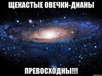 Щекастые овечки-дианы превосходны!!!