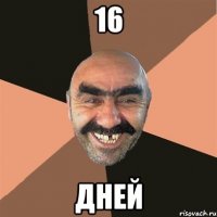 16 дней