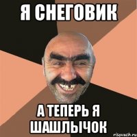 Я снеговик а теперь я шашлычок