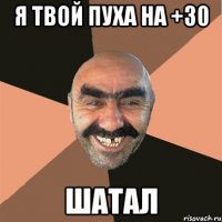 Я твой пуха на +30 шатал