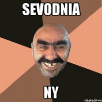 sevodnia ny