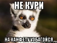 Не кури на канфету узбагойся