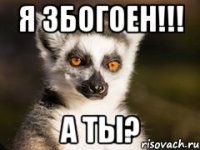 Я ЗБОГОЕН!!! А ТЫ?