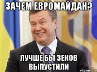 зачем евромайдан? лучше бы ЗЕКов выпустили