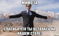 Мимоза Спасибо что ты осталась на нашем столе!